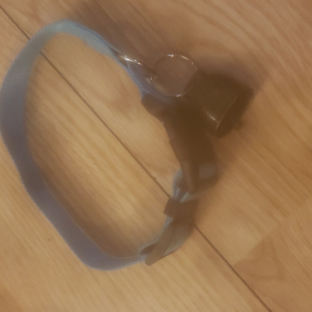 Big dog collars